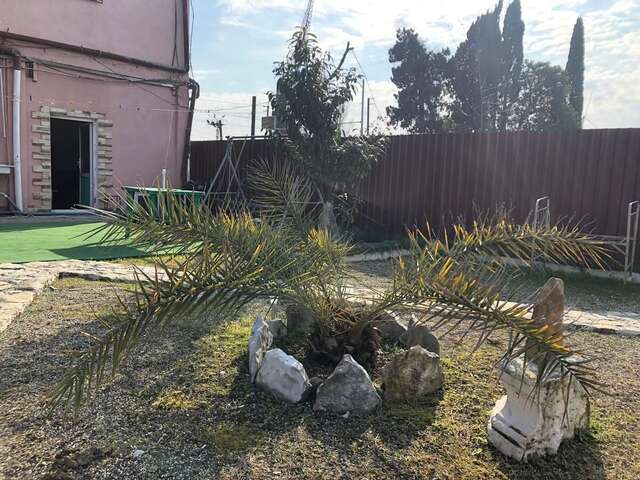 Отель Hotel Sakura Сухум-19